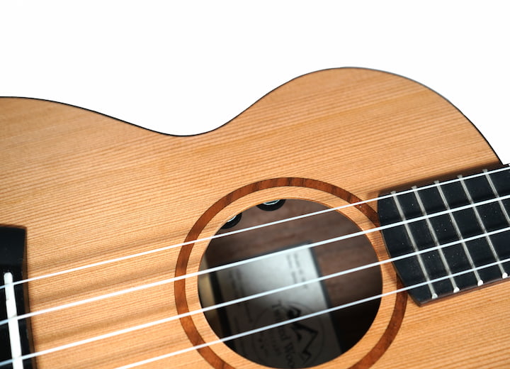 Carnyx Ukulele Pickup by Twisted Wood Guitars, photo 2