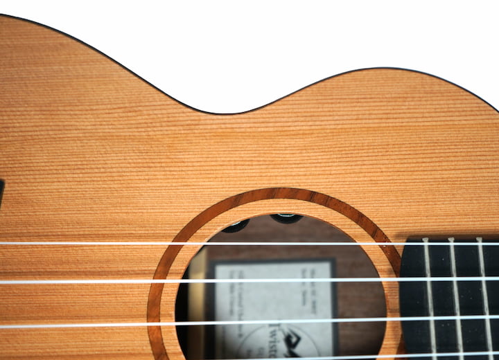 Carnyx Ukulele Pickup by Twisted Wood Guitars, photo 7