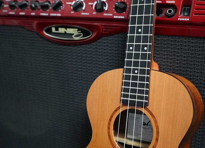 Carnyx Ukulele Pickup by Twisted Wood Guitars, photo 9