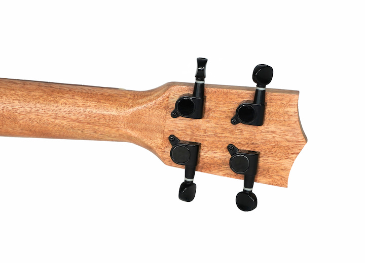 Cedar Pro II ukulele by Twisted Wood Guitars, photo 7