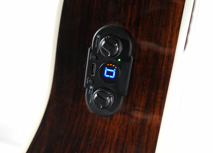 OM Series acoustic guitar by Twisted Wood Guitars, photo 8