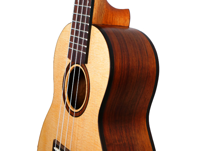 Spruce Pro II ukulele by Twisted Wood Guitars, photo 4