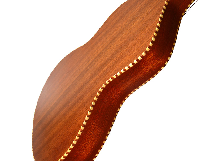 Twisted Original Weissenborn guitar