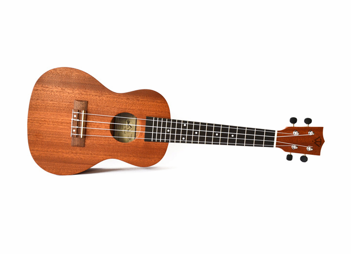 Tyro ukulele by Twisted Wood Guitars, photo 2