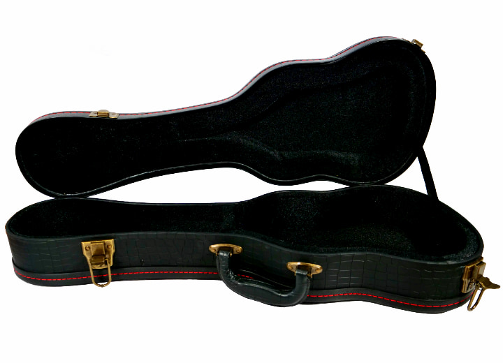 Ukulele Archtop Cases