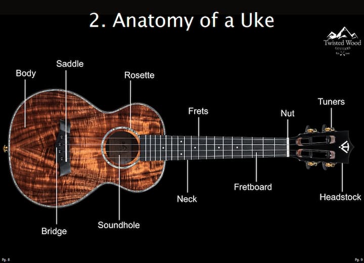 How to play your Twisted Wood Ukulele – eBook by Twisted Wood Guitars, photo 3