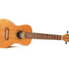 Twisted Wood Ukulele