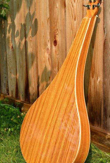 Twisted Wood Guitars