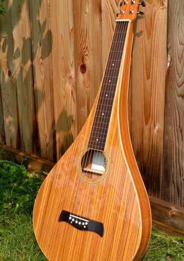 Twisted Wood Guitars