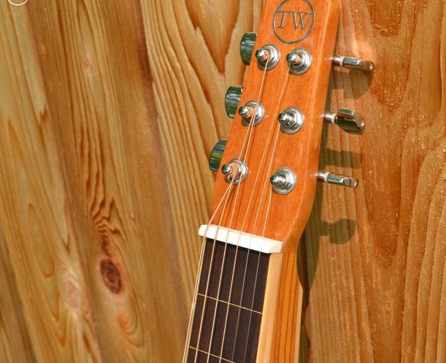Twisted Wood Guitars