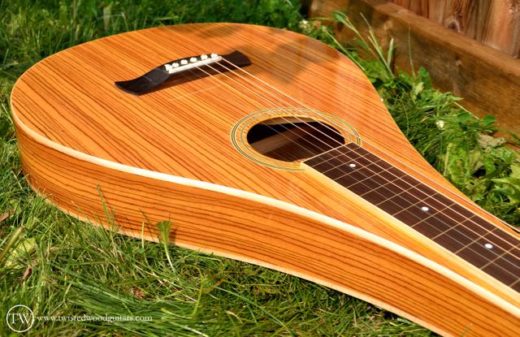 Twisted Wood Guitars
