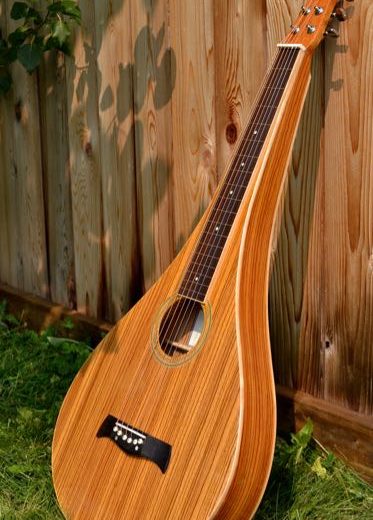Twisted Wood Guitars