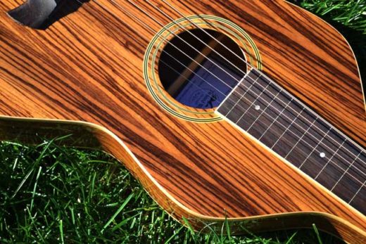 Twisted Wood Guitars