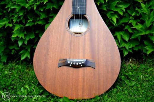 Twisted Wood Guitars