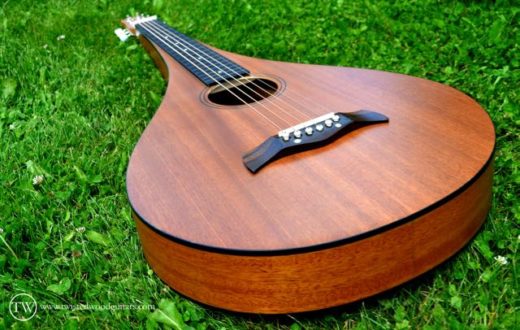 Twisted Wood Guitars