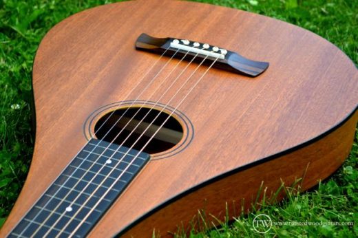 Twisted Wood Guitars