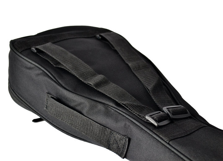 Twisted Wood Gig Bag