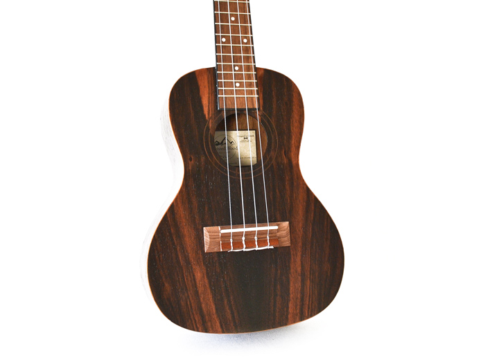 Twisted Wood Ukulele