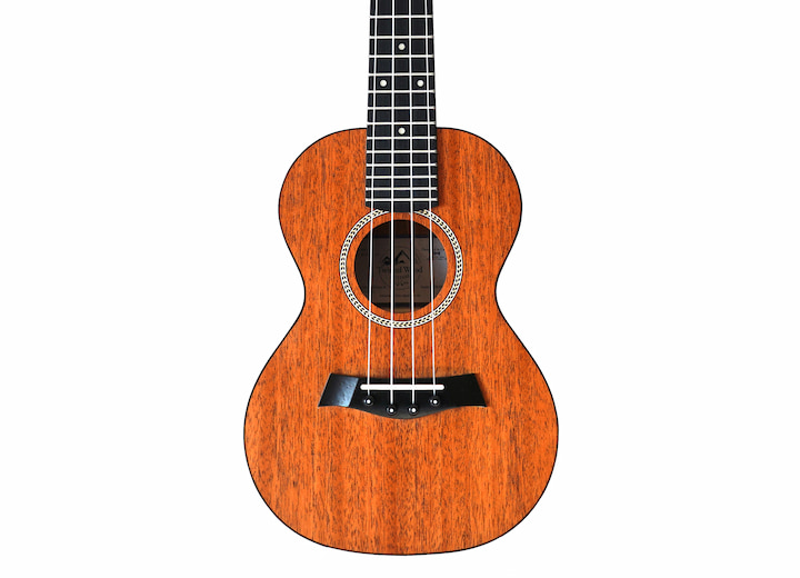 Rock Roots Ukulele
