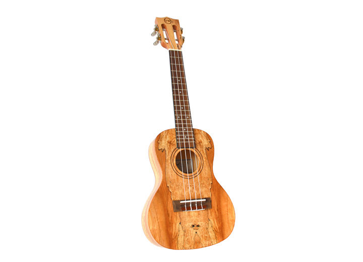 Twisted Wood Ukulele
