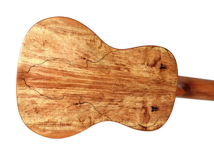 Twisted Wood Ukulele
