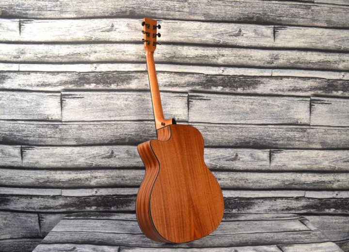 Twisted Wood Acoustic Guitar mahogany