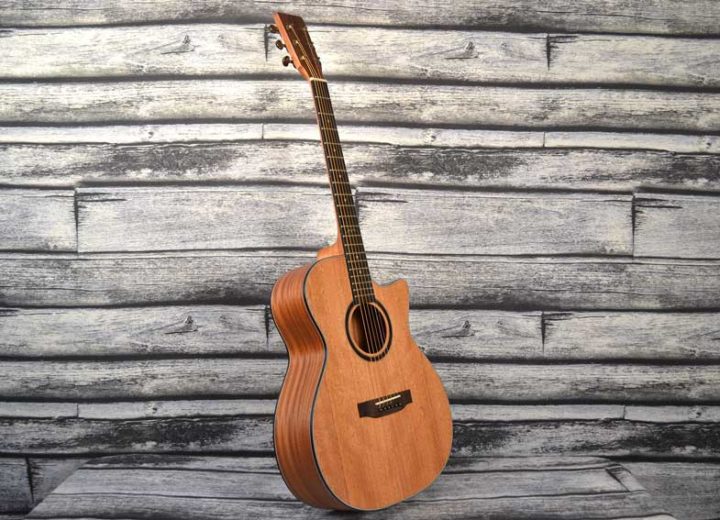 Twisted Wood Acoustic Guitar mahogany
