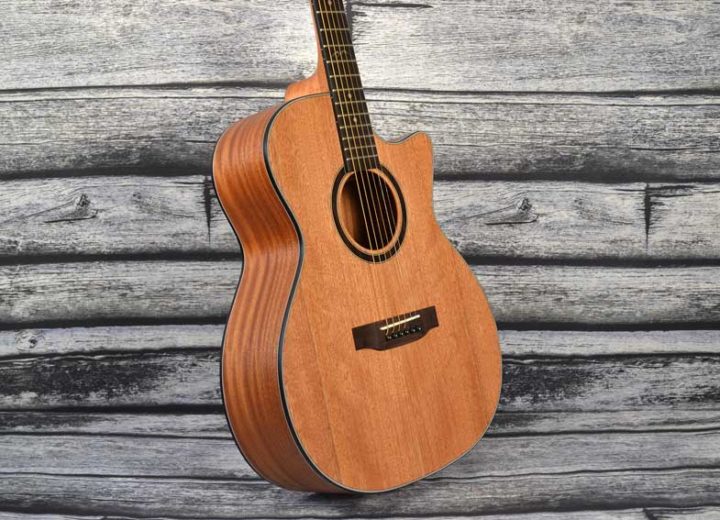 Twisted Wood Acoustic Guitar mahogany