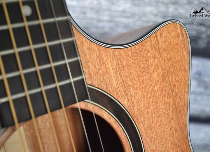 Twisted Wood Acoustic Guitar mahogany