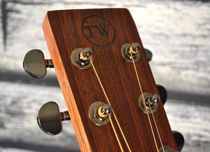 Twisted Wood Acoustic Guitar mahogany