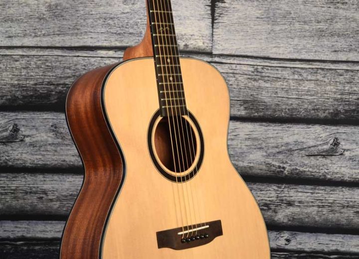 Twisted Wood Guitars
