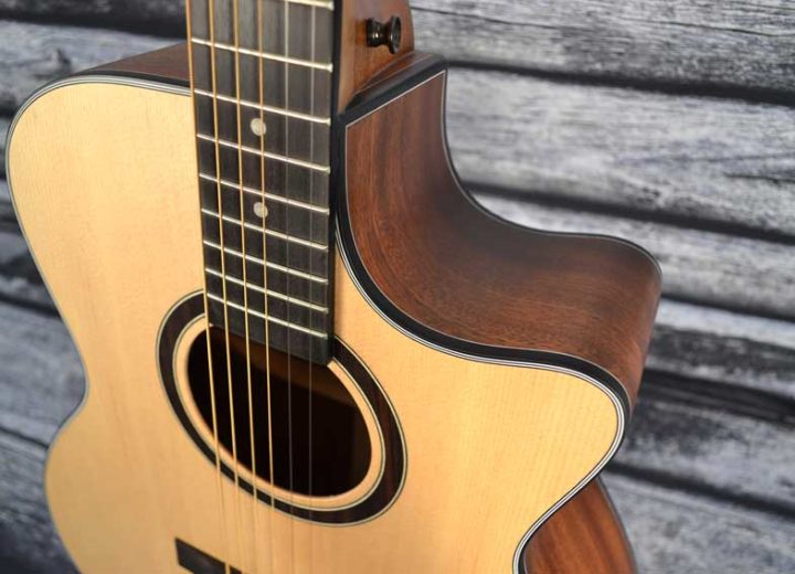 Twisted Wood Guitars