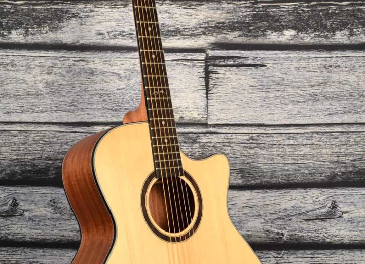 Twisted Wood Guitars