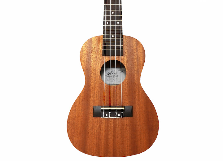 Tyro Ukulele Front