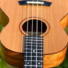 Sierra ukulele