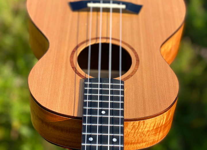 Sierra ukulele
