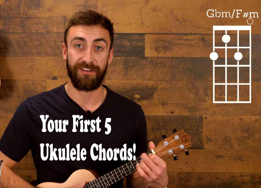 Your first 5 chords