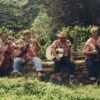 The Kohala Mountain Boys