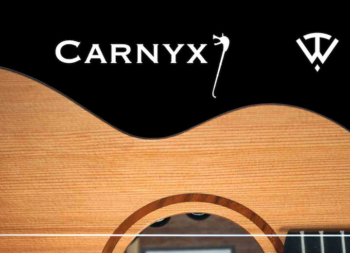 Carnyx Ukulele Pickup