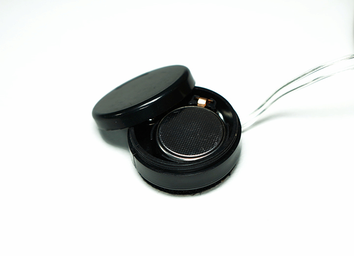 Carynx Battery