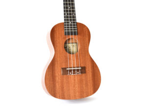 Tyro Ukulele