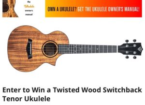 win a twisted wood switchback